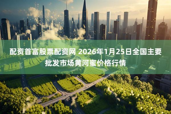 配资首富股票配资网 2026年1月25日全国主要批发市场黄河蜜价格行情